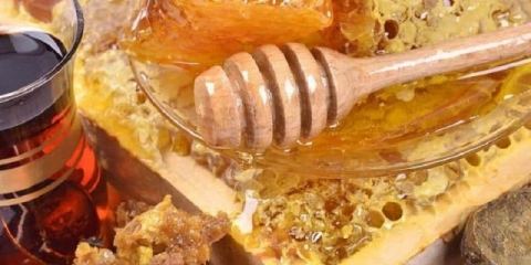 Med sa pergom: korisna svojstva, kako uzimati